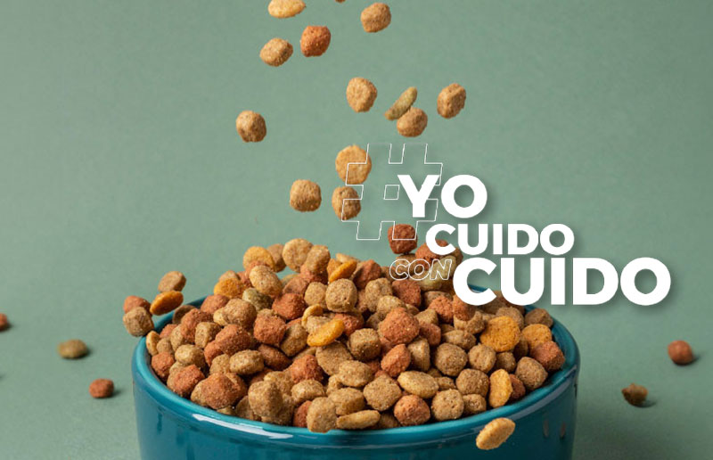 CUIDO