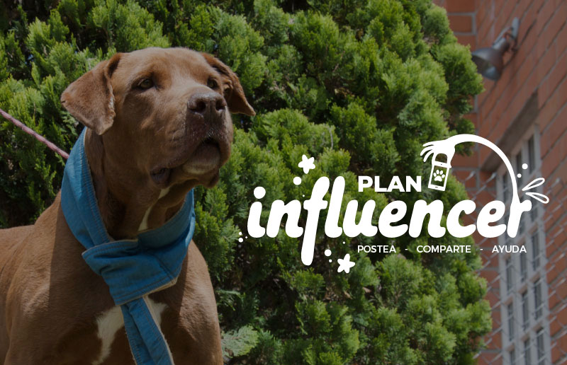 INFLUENCER